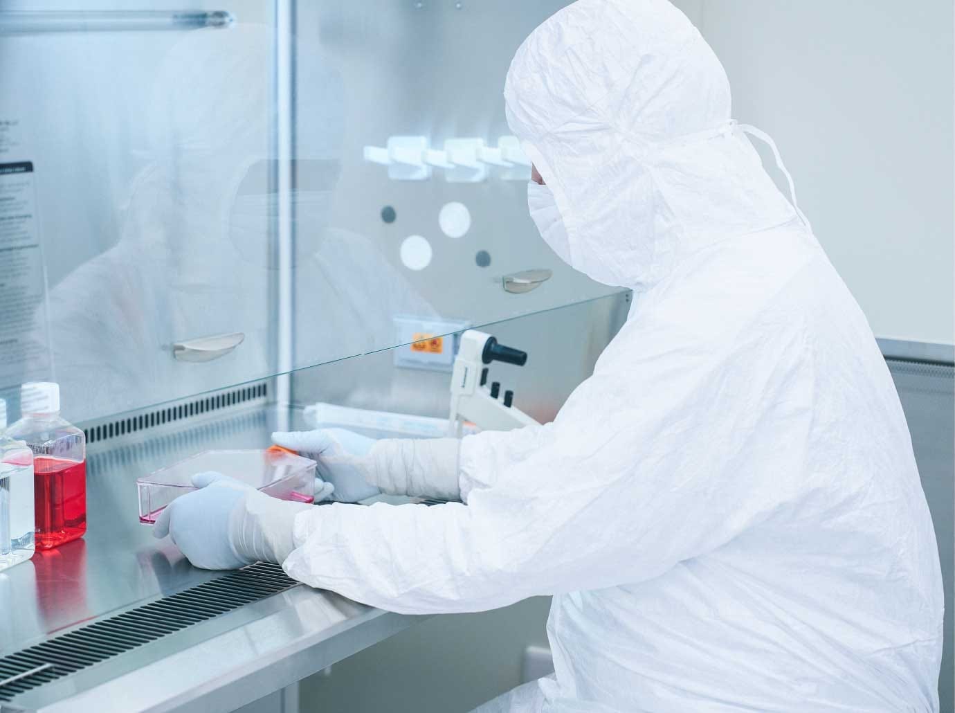 Cell culture work in a safety cabinet