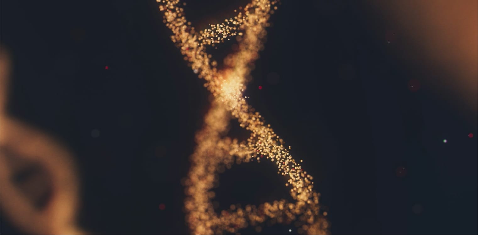 Image of the DNA double helix